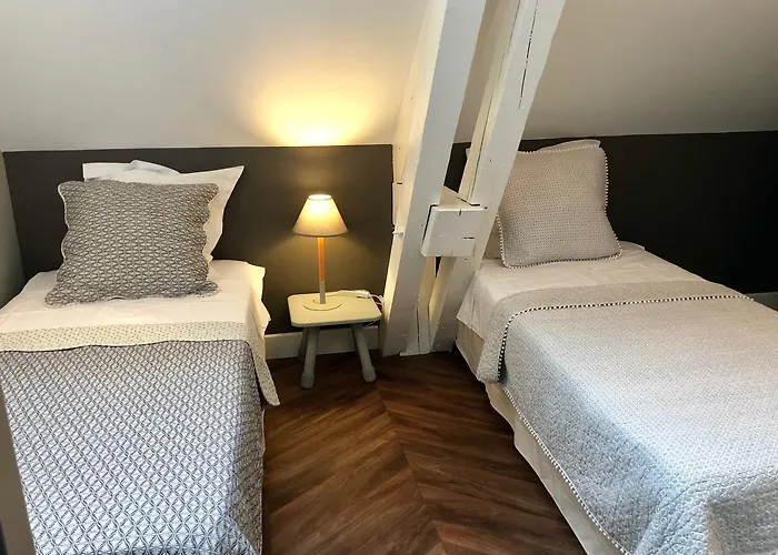 Le Bristol Appartement Canal & Chenier Canaldumidi